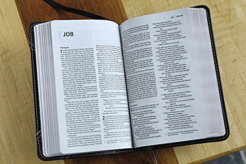Holy Bible: New International Version, Black/Gray Leathersoft, Thinline Bible: Red Letter Edition