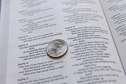 Holy Bible: New International Version, Burgundy Leathersoft, Value Thinline Bible