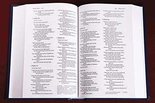 Holy Bible: New International Version, Blue, Pew & Worship Bible