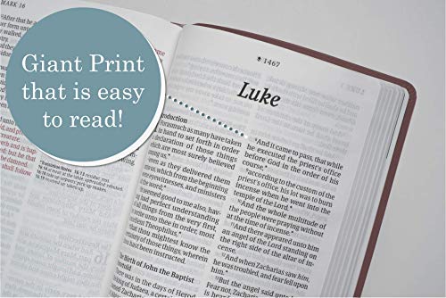 KJV Personal Size Giant Print Bible, Filament Edition, Brown