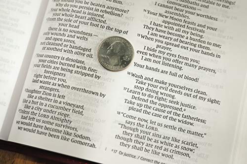 NIV, Value Thinline Bible, Large Print, Leathersoft, Burgund