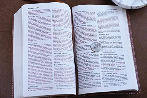 NIV, Thinline Bible, Imitation Leather, Tan, Red Letter Edition: New International Version, Thinline, Tan, Leathersoft, Red Letter Edition