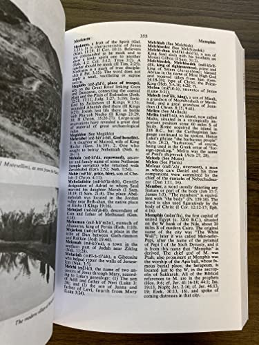 Zondervan Compact Bible Dictionary (Classic Compact Series)