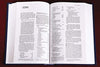 Holy Bible: New International Version, Blue, Pew & Worship Bible