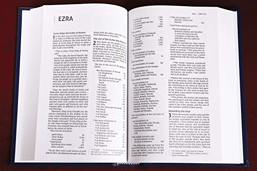 Holy Bible: New International Version, Blue, Pew & Worship Bible