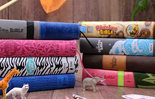 Adventure Bible: New International Version