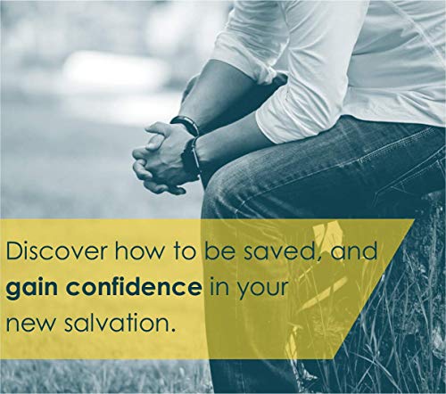 New Believer's Bible NLT (Softcover): New Believer's Bible, New Living Translation, First Steps for New Christians