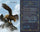 Holy Bible: New International Version, Incredible Creatures and Creations