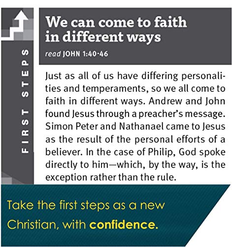 New Believer's Bible NLT (Softcover): New Believer's Bible, New Living Translation, First Steps for New Christians