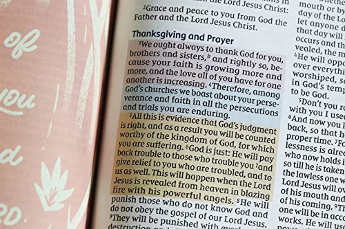 NIV Radiant Virtues Bible: New International Version, Navy Leathersoft: A Beautiful Word Collection, Red Letter, Comfort Print