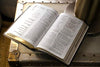 NLT Every Man's Bible: Deluxe Explorer Edition