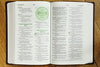 Holy Bible: New International Version, Chocolate, Italian Duo-Tone Teen Study Imitation Leather