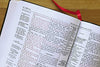 KJV, Thompson Chain-Reference Bible, Handy Size, Bonded Leather, Black, Red Letter: King James Version, Black, Bonded Leather, Handy Size, Red Letter