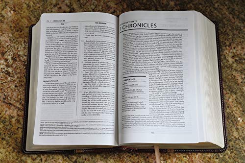 NIV & The Message Parallel Study Bible: Dark Caramel/Black Cherry Italian Duo-Tone