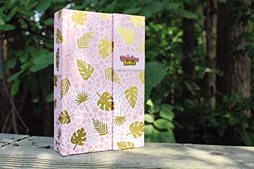 NIV Adventure Bible: New International Version, Full Color, Magnetic Closure