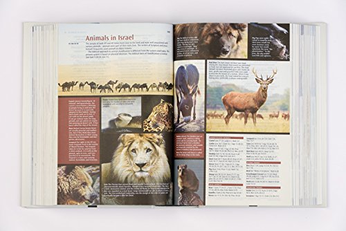 NLT Illustrated Study Bible Tutone Black/Onyx