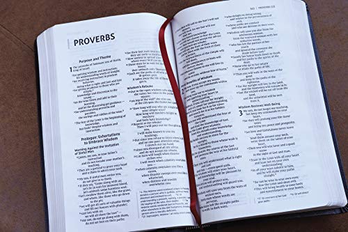 Holy Bible: New International Version, Black, Bonded Leather, Thinline