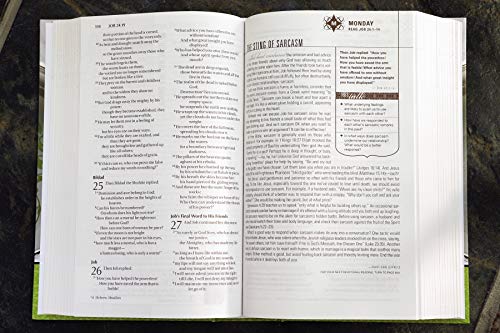 NIV, Couples' Devotional Bible, Hardcover
