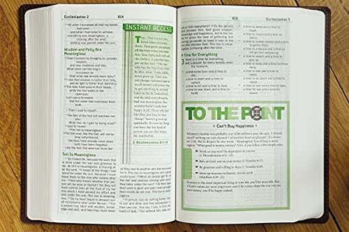 Holy Bible: New International Version, Chocolate, Italian Duo-Tone Teen Study Imitation Leather
