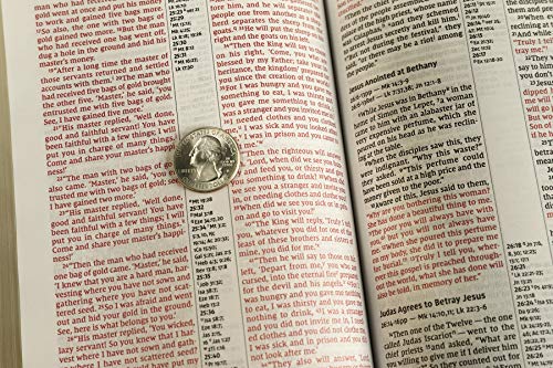 Holy Bible: New International Version, Brown, Leathersoft, Thinline Reference, Comfort Print