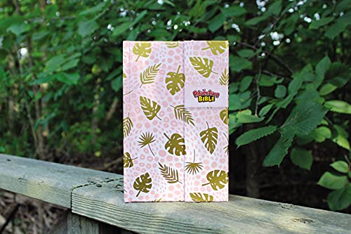 NIV Adventure Bible: New International Version, Full Color, Magnetic Closure
