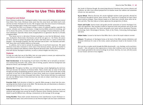 Understand the Faith Study Bible: New International Version, Black/gray, Italian Duo-tone