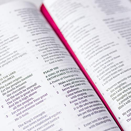 NKJ EOV REF BIB PS LP LS BRN: Holy Bible, New King James Version