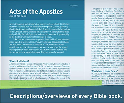NLT Christian Basics Bible Brown/Tan, Indexed, The: New Living Translation, Brown & Tan, Leatherlike
