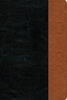 NLT Compact Edition Bible Large Print, Blacl/Tan, Indexed (Large Print Compact Edition: NLT)