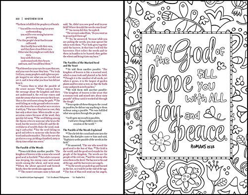 Holy Bible: New International Version Inspiring Words, 52 Verses to Color