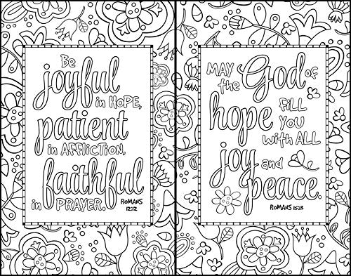 Holy Bible: New International Version Inspiring Words, 52 Verses to Color