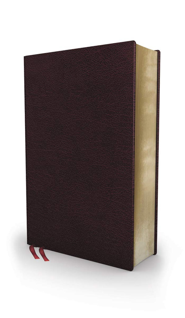 Biblical Theology Study Bible: New International Version, Burgundy, Bonded Leather, Comfort Print; Follow Gods Redemptive Plan As It Unfolds Throughout Scripture Bonded Leather