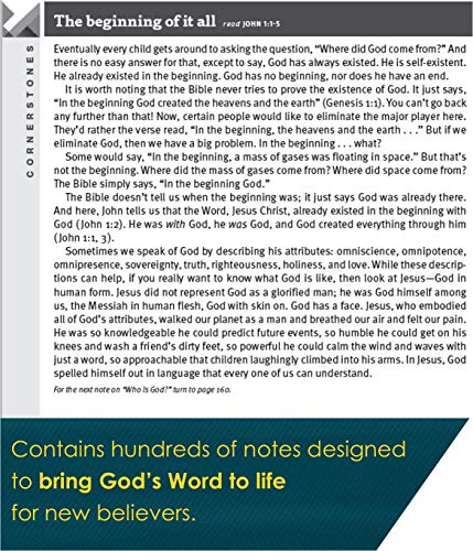 New Believer's Bible NLT (Softcover): New Believer's Bible, New Living Translation, First Steps for New Christians
