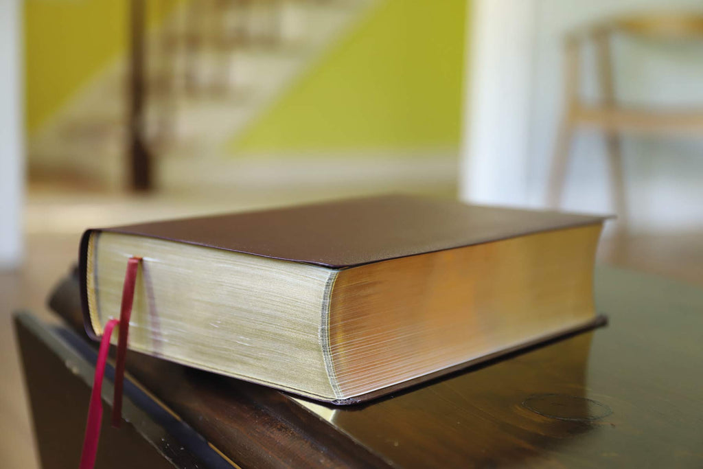 Biblical Theology Study Bible: New International Version, Burgundy, Bonded Leather, Comfort Print; Follow Gods Redemptive Plan As It Unfolds Throughout Scripture Bonded Leather