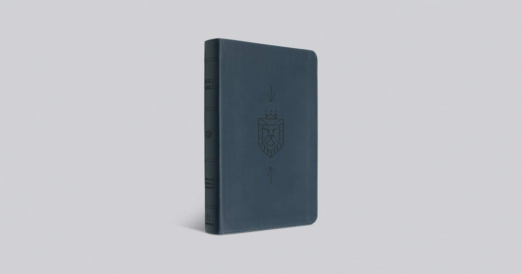 ESV Kid's Bible, Thinline Imitation Leather – Large Print, 31 March 2019