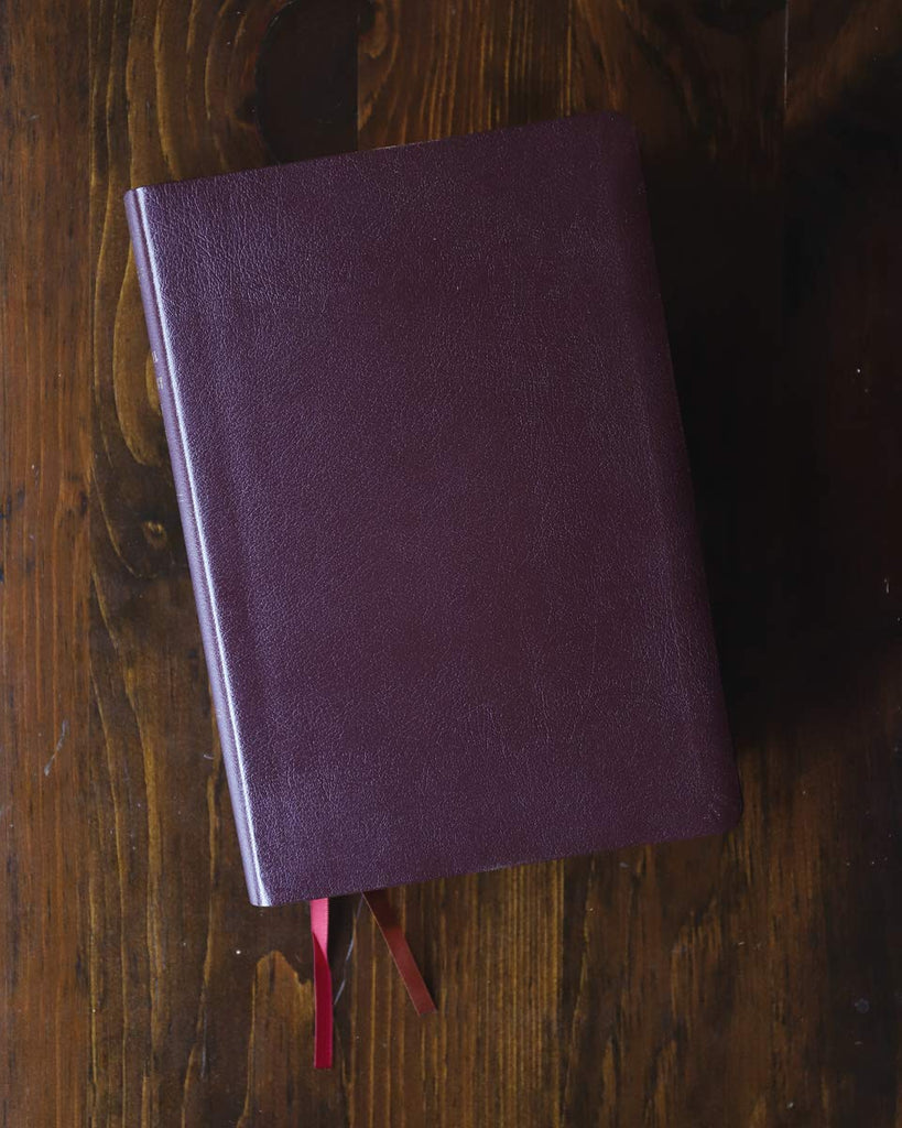 Biblical Theology Study Bible: New International Version, Burgundy, Bonded Leather, Comfort Print; Follow Gods Redemptive Plan As It Unfolds Throughout Scripture Bonded Leather