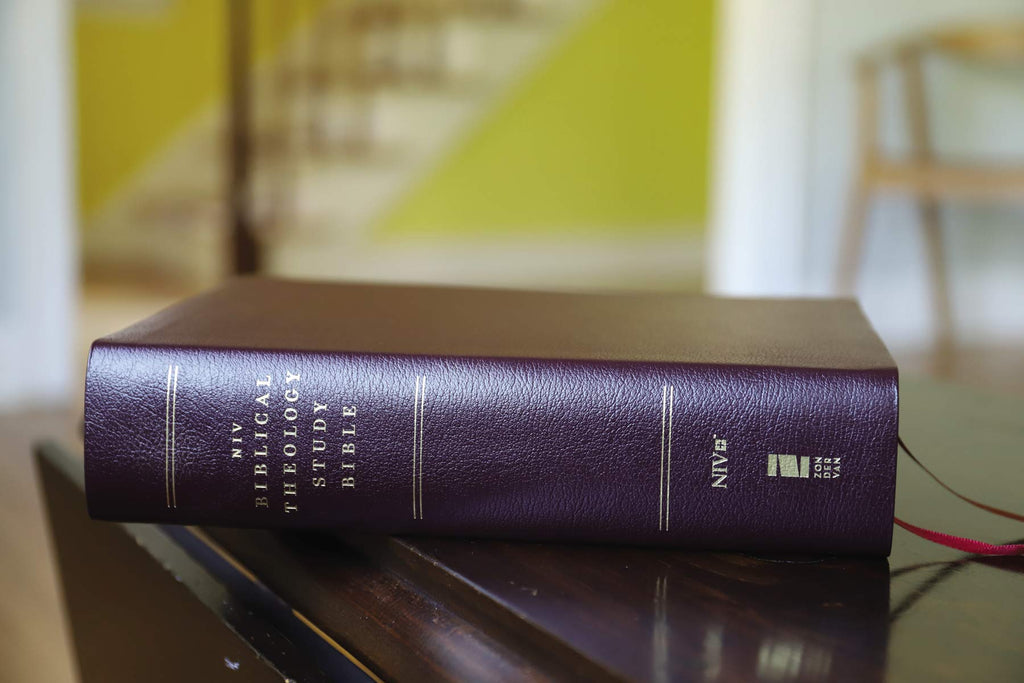 Biblical Theology Study Bible: New International Version, Burgundy, Bonded Leather, Comfort Print; Follow Gods Redemptive Plan As It Unfolds Throughout Scripture Bonded Leather