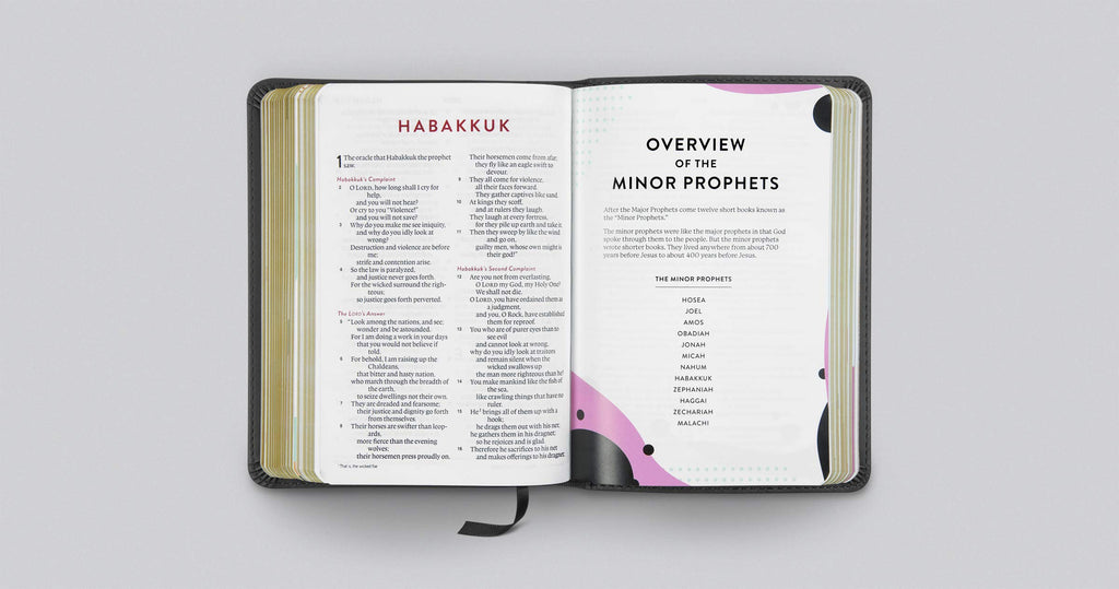 ESV Kid's Bible, Compact: English Standard Version, Trutone, Sword of the Spirit Leather Bound – Import, 25 July 2019