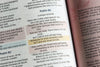 NIV Radiant Virtues Bible: New International Version: A Beautiful Word Collection, Red Letter, Comfort Print Hardcover – Import, 28 September 2021