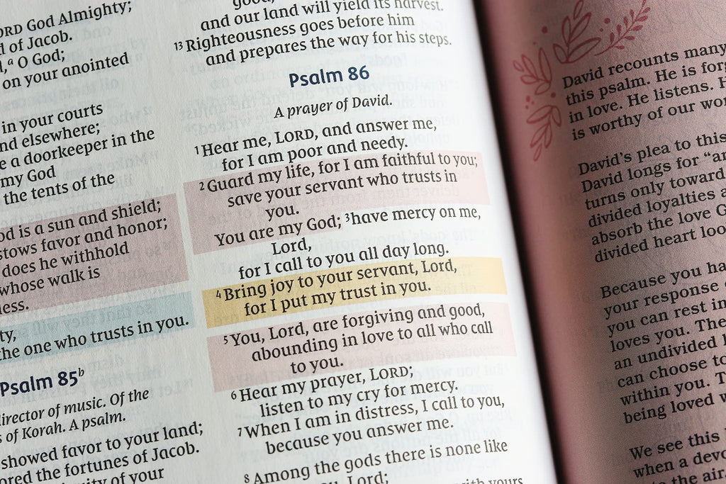 NIV Radiant Virtues Bible: New International Version: A Beautiful Word Collection, Red Letter, Comfort Print Hardcover – Import, 28 September 2021