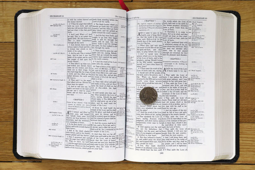 KJV, Thompson Chain-Reference Bible, Handy Size, Bonded Leather, Black, Red Letter: King James Version, Black, Bonded Leather, Handy Size, Red Letter Bonded Leather – Import, 8 June 2021