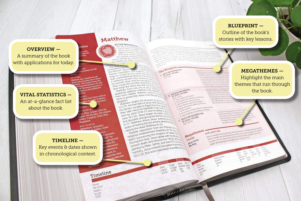 NIV Life Application Study Bible, Third Edition (Red Letter, Imitation Leather – 4 May 2021