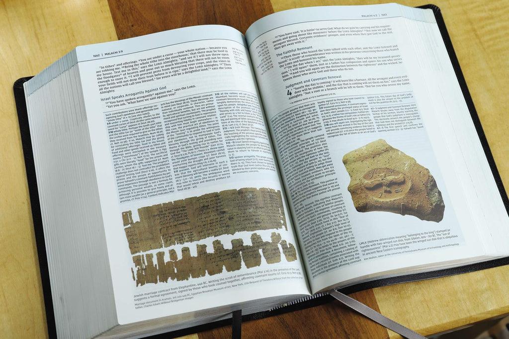 NIV Biblical Theology Study Bible: New International Version, Biblical Theology Study Bible, Black, Bonded Leather, Comfort Print; Follow God s Redemptive Plan As It Unfolds Throughout Scripture Bonded Leather