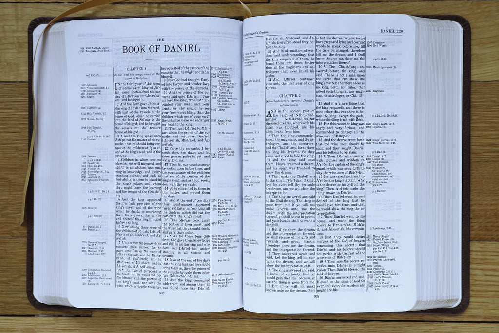 KJV, Thompson Chain-Reference Bible, Handy Size, Leathersoft, Brown, Red Letter: King James Version, Brown, Leathersoft, Red Letter, Handy Size Imitation Leather – Import, 8 June 2021