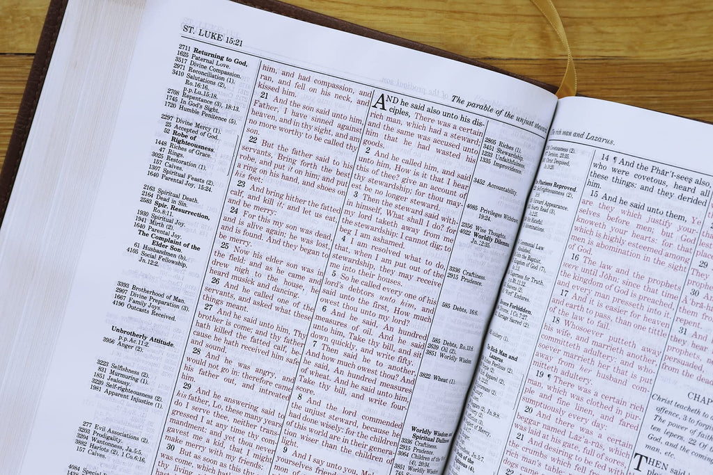 KJV, Thompson Chain-Reference Bible, Leathersoft, Brown, Red Letter: King James Version, Brown, Leathersoft, Red Letter Imitation Leather – Import, 8 June 2021