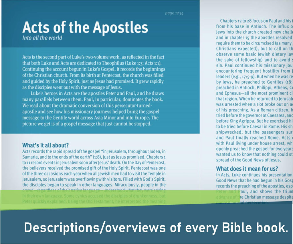 NLT Christian Basics Bible, Indexed, The Hardcover