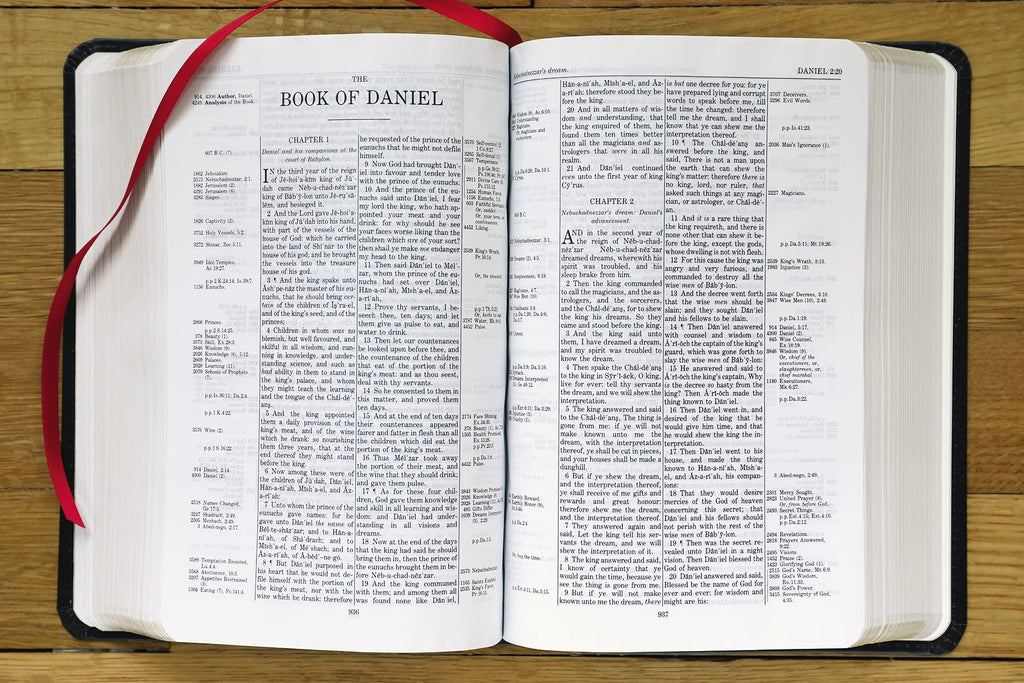 KJV, Thompson Chain-Reference Bible, Handy Size, Bonded Leather, Black, Red Letter: King James Version, Black, Bonded Leather, Handy Size, Red Letter Bonded Leather – Import, 8 June 2021