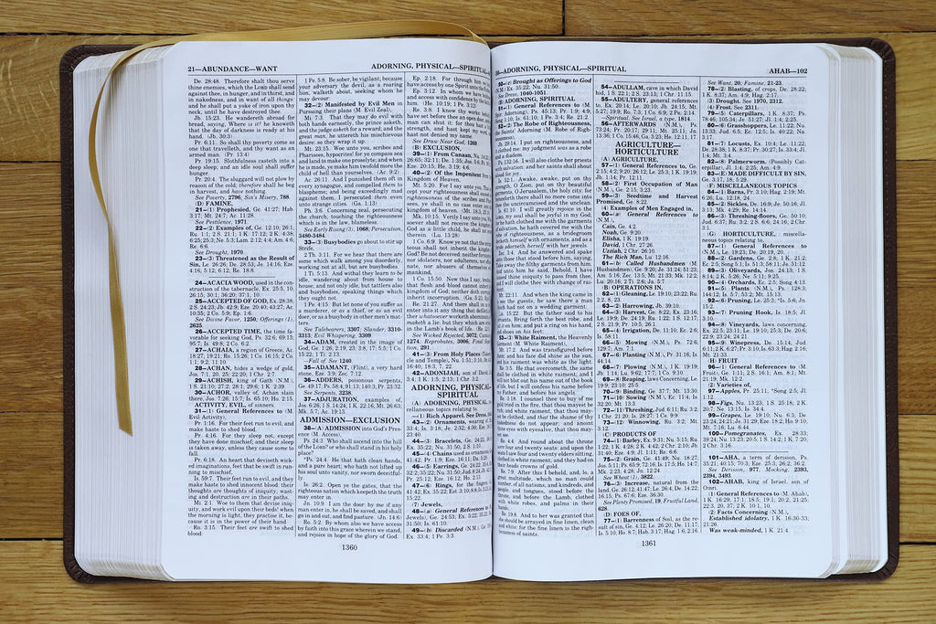 KJV, Thompson Chain-Reference Bible, Leathersoft, Brown, Red Letter: King James Version, Brown, Leathersoft, Red Letter Imitation Leather – Import, 8 June 2021