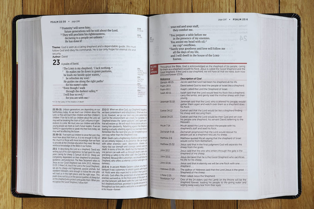 NIV Life Application Study Bible, Third Edition (Red Letter, Imitation Leather – 4 May 2021