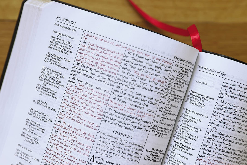 KJV, Thompson Chain-Reference Bible, Handy Size, Bonded Leather, Black, Red Letter: King James Version, Black, Bonded Leather, Handy Size, Red Letter Bonded Leather – Import, 8 June 2021